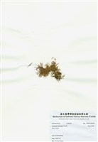 藏品(異枝軟骨凹頂藻)的圖片